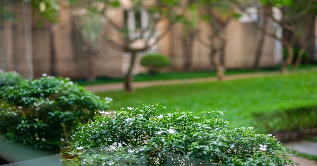 Amenagement petit jardin